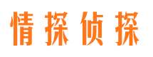 松原市婚外情调查